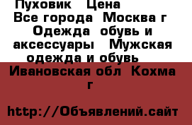 Пуховик › Цена ­ 2 000 - Все города, Москва г. Одежда, обувь и аксессуары » Мужская одежда и обувь   . Ивановская обл.,Кохма г.